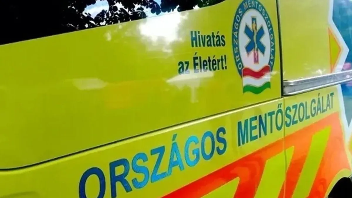 Szarvasnak ugrott egy mentőautó Veszprém megyében, egymást érték a vadgázolások