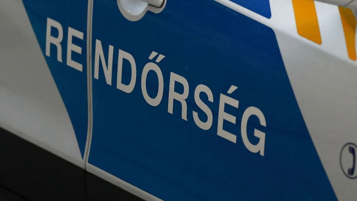 Győrben egy férfi konyhakéssel mellkason szúrta fiát, aki meghalt