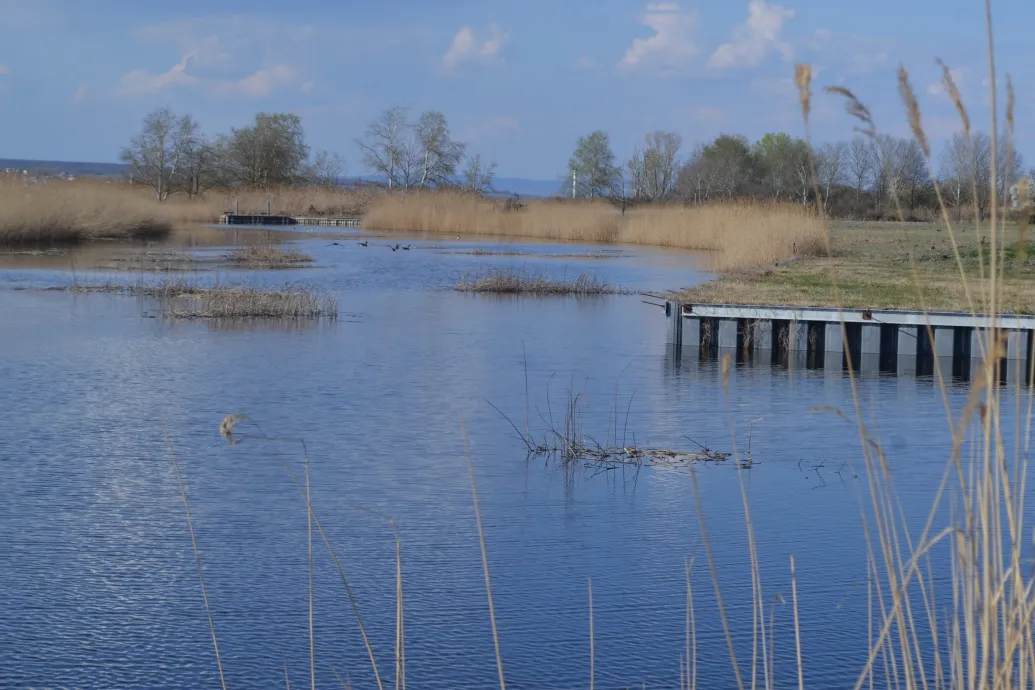 A tervező: jövő nyáron lehet strandolni a Fertőn, de ez csak átmeneti megoldás
