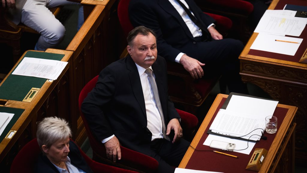 Gajdos László szerint átvilágítják az állatmenhelyeket, életszerűbb lesz az örökbefogadás