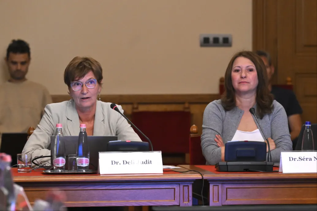Szakértők szerint a kórházban rekedt csecsemőknél nem mindig az örökbefogadás a legjobb