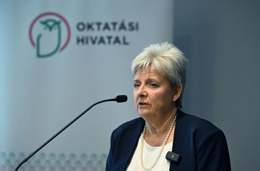 Lannert Judit bocsánatot kért a hasonlatáért, és nem tartja normálisnak a nemzetárulózást
