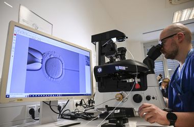 Országosan javulnak az eredmények, de a petesejt-donáció hiánya továbbra is fennáll