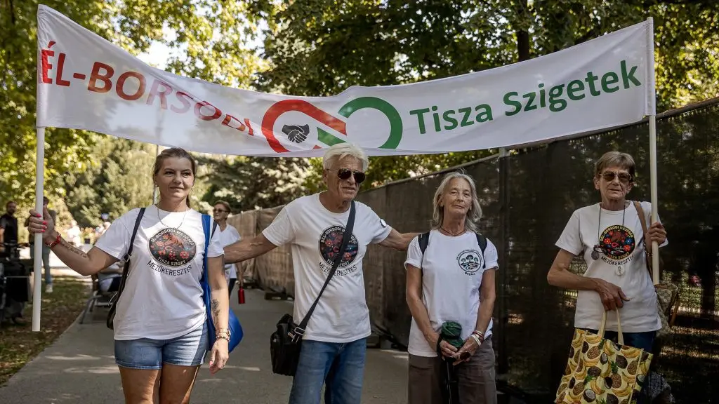 Körösényi András: a mozgalmi hálózatok kiszorítják a klasszikus pártszervezeteket