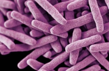 Vizsgálat: a Helicobacter pylori akár 59 százalékkal emelheti a vastagbélrák kockázatát