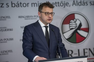 A bíró perelte az igazságügyi minisztert, miután menlevelet adott Romanowskinak