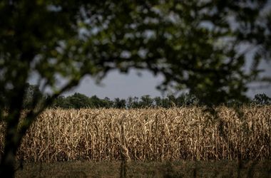 Magyarországon súlyos az aszálykár, csak egy európai ország járt rosszabbul