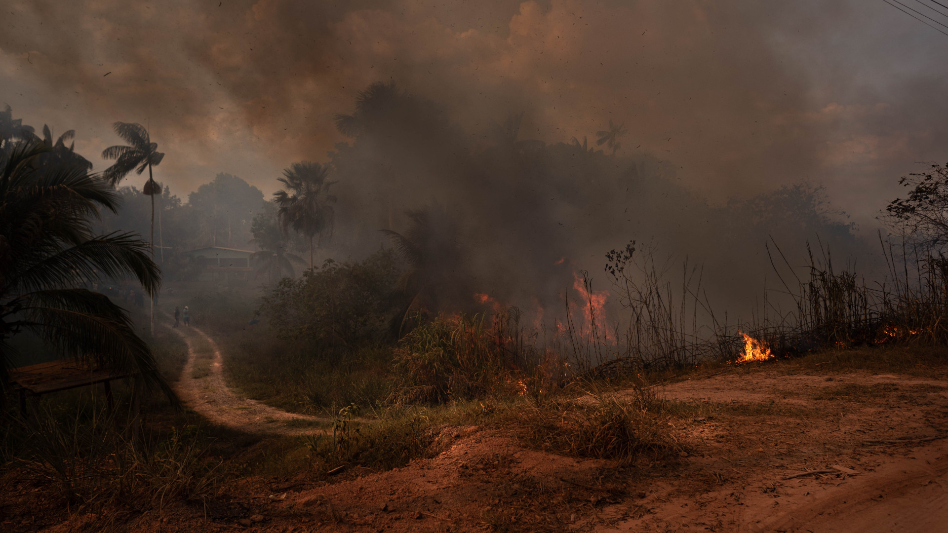 Lángok és sűrű füst borítja az Amazonas-vidéket, egy 2 milliós város súlyos veszélyben