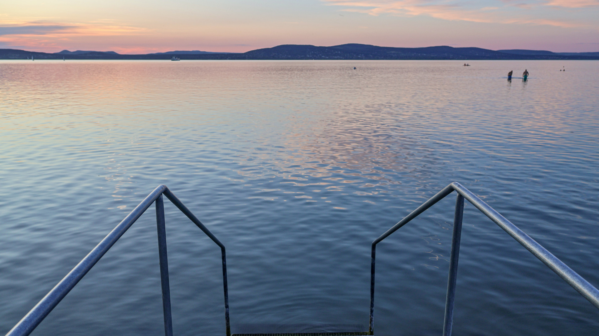 Balatonberényben markolóval irtották ki a védett nádast, egy ritka teknős is megsérült