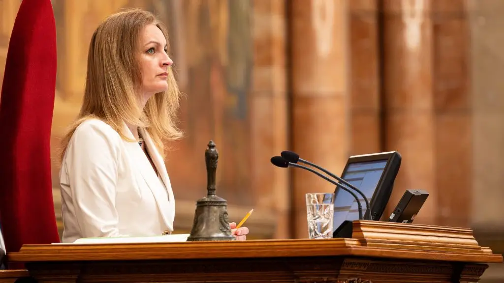 Forsthoffer Ágnes: a fideszes indítvány félrevezető