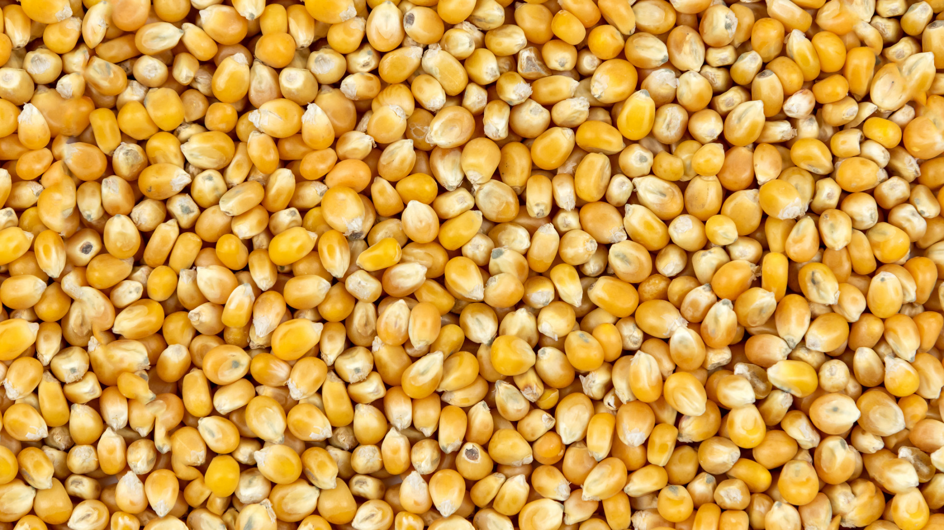A fekete-tengeri kikötők orosz blokádja felére csökkentette az ukrán agrárexportot