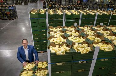 A munkaerőhiány, a magas áfa és az importverseny szorítják a zöldség-gyümölcs ágazatot